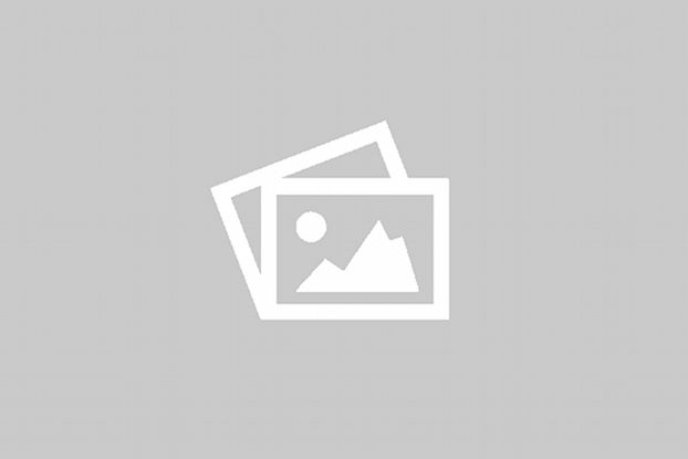 IP CAMERAS (STQC CERTIFIED)